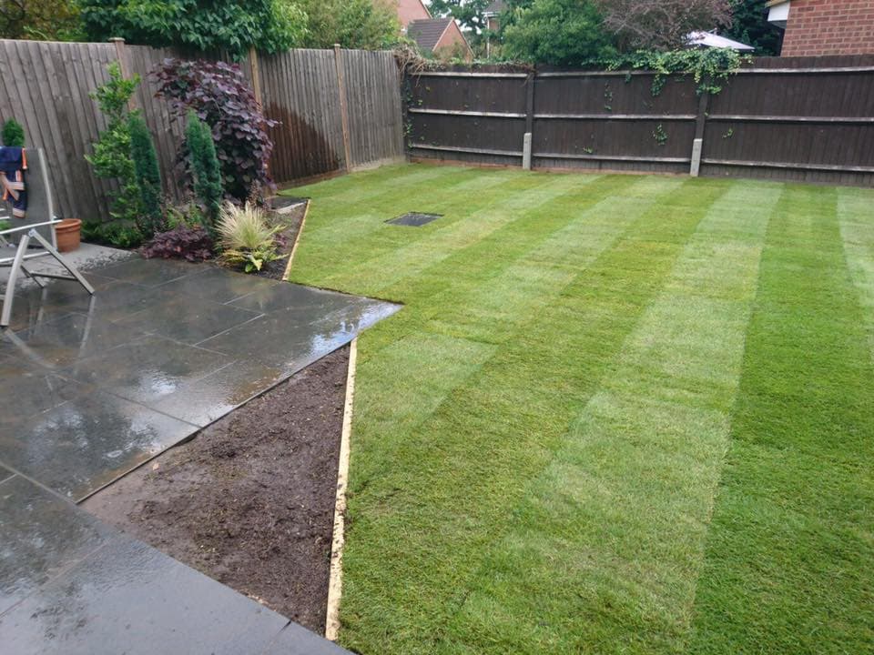 Lawn Care & Grass Services You Can Trust